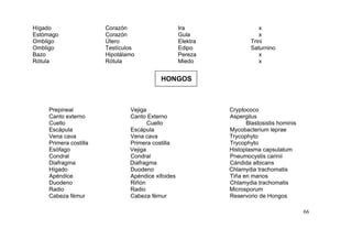 Hígado Corazón Ira x
Estómago Corazón Gula x
Ombligo Útero Elektra Trini
Ombligo Testículos Edipo Saturnino
Bazo Hipotálamo Pereza x
Rótula Rótula Miedo x
HONGOS
Prepineal Vejiga Cryptococo
Canto externo Canto Externo Aspergilus
Cuello Cuello Blastosistis hominis
Escápula Escápula Mycobacterium leprae
Vena cava Vena cava Trycophyto
Primera costilla Primera costilla Trycophyto
Esófago Vejiga Histoplasma capsulatum
Condral Condral Pneumocystis carinii
Diafragma Diafragma Cándida albicans
Hígado Duodeno Chlamydia trachomatis
Apéndice Apéndice xifoides Tiña en manos
Duodeno Riñón Chlamydia trachomatis
Radio Radio Microsporum
Cabeza fémur Cabeza fémur Reservorio de Hongos
66
 