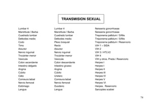 TRANSMISION SEXUAL
Lumbar 4 Lumbar 4 Neisseria gonorrhoeae
Mandíbula / Barba Mandíbula / Barba Neisseria gonorrhoeae
Cuadrado lumbar Cuadrado lumbar Treponema pallidum / Sífilis
Deltoides medio Deltoides medio Treponema pallidum / Sífilis
Codo Plexo braquial Treponema pallidum / Reservorio
Timo Recto VIH 1 – SIDA
Aductor Aductor VIH 2
Nervio inguinal Nervio inguinal VIH 3 / HTLV2
Trocánter menor Trocánter menor VIH 4
Vesícula Vesícula VIH y otros. Prada / Reservorio
Colon ascendente Colon descendente Herpes I
Intestino delgado Intestino grueso Herpes I
Angina Angina Herpes II
Cúbito Cúbito Herpes III
Cáliz Uretero Herpes IV
Comisura labial Comisura labial Herpes V
Nervio femoral Nervio femoral Herpes VI
Estómago Duodeno Herpes, Reservorio
Lengua Lengua Sarcoptes scabiei
74
 