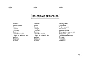 Axila Axila Rabia
DOLOR BAJO DE ESPALDA
Dorsal 5 Lumbar 2 Meningococo
Suprarrenales Recto Leptospira
Sacro Sacro Proteo mirabilis
Trompa Trompa Parvovirus
Testículo Testículo Yersinia pestis
Cadera Cadera Chlamydia pneumoniae
Trocánter mayor Trocánter mayor Salmonella typhi
Tensor de la fascia lata Tensor de la fascia lata Gardnerella vaginalis
Aquiles Aquiles Shigella
Calcáneo Calcáneo Rickettsia
Muñeca Muñeca Rickettsia
91
 