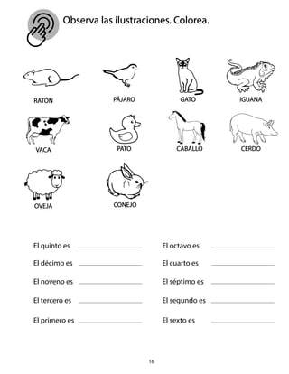 16
Observa las ilustraciones. Colorea.
RATÓN PÁJARO GATO IGUANA
VACA PATO CABALLO CERDO
OVEJA CONEJO
El quinto es
El décimo es
El noveno es
El tercero es
El primero es
El octavo es
El cuarto es
El séptimo es
El segundo es
El sexto es
 