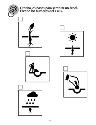 Ordena los pasos para sembrar un árbol.
Escribe los números del 1 al 5.
42
 