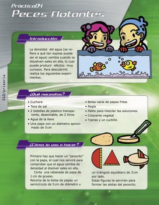 La densidad del agua (se re-
ﬁere a qué tan espesa puede
ser el agua) cambia cuando se
disuelven sales en ella, lo cual
puede producir efectos muy
curiosos. Para descubrirlo
realiza los siguientes experi-
mentos.
• Cuchara
• Taza de sal
• 2 botellas de plástico transpa-
rente, desechable, de 2 litros
• Agua de la llave
• Una papa con un diámetro aproxi-
mado de 5 cm
• Bolsa vacía de papas fritas
• Regla
• Palito para mezclar las soluciones
• Colorante vegetal
• Tijeras y un cuchillo
Primero hay que hacer un “pececito”
con la papa, el cual nos servirá para
comprobar que el agua cambia de
densidad al disolver sales en ella.
Corta una rebanada de papa de
1 cm de grueso.
Recorta de la bolsa de papas un
semicírculo de 5 cm de diámetro y
• Tijeras y un cuchillo
ser el agua) cambia cuando se
disuelven sales en ella, lo cual
puede producir efectos muy
un triángulo equilátero de 3 cm
por lado.
Estas ﬁguras te servirán para
formar las aletas del pececito.
010/primaria
 