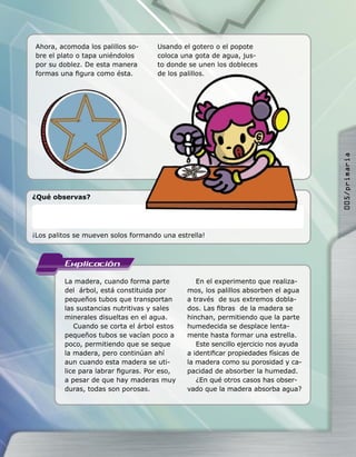 La madera, cuando forma parte
del árbol, está constituida por
pequeños tubos que transportan
las sustancias nutritivas y sales
minerales disueltas en el agua.
Cuando se corta el árbol estos
pequeños tubos se vacían poco a
poco, permitiendo que se seque
la madera, pero continúan ahí
aun cuando esta madera se uti-
lice para labrar ﬁguras. Por eso,
a pesar de que hay maderas muy
duras, todas son porosas.
En el experimento que realiza-
mos, los palillos absorben el agua
a través de sus extremos dobla-
dos. Las ﬁbras de la madera se
hinchan, permitiendo que la parte
humedecida se desplace lenta-
mente hasta formar una estrella.
Este sencillo ejercicio nos ayuda
a identiﬁcar propiedades físicas de
la madera como su porosidad y ca-
pacidad de absorber la humedad.
¿En qué otros casos has obser-
vado que la madera absorba agua?
Ahora, acomoda los palillos so-
bre el plato o tapa uniéndolos
por su doblez. De esta manera
formas una ﬁgura como ésta.
Usando el gotero o el popote
coloca una gota de agua, jus-
to donde se unen los dobleces
de los palillos.
¿Qué observas?
de los palillos.
¡Los palitos se mueven solos formando una estrella!
005/primaria
 