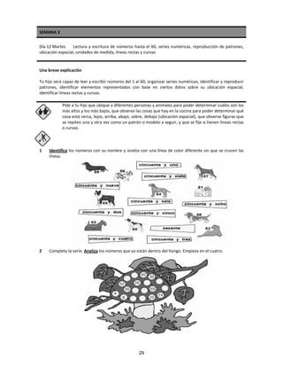 SEMANA 3
Día 12 Martes Lectura y escritura de números hasta el 60, series numéricas, reproducción de patrones,
ubicación espacial, unidades de medida, líneas rectas y curvas
Una breve explicación
Tu hijo será capaz de leer y escribir números del 1 al 60, organizar series numéricas, identificar y reproducir
patrones, identificar elementos representados con base en ciertos datos sobre su ubicación espacial,
identificar líneas rectas y curvas.
Pide a tu hijo que ubique a diferentes personas y animales para poder determinar cuáles son los
más altos y los más bajos, que observe las cosas que hay en la cocina para poder determinar qué
cosa está cerca, lejos, arriba, abajo, sobre, debajo (ubicación espacial), que observe figuras que
se repiten una y otra vez como un patrón o modelo a seguir, y que se fije si tienen líneas rectas
o curvas.
1 Identifica los números con su nombre y únelos con una línea de color diferente sin que se crucen las
líneas.
2 Completa la serie. Analiza los números que ya están dentro del hongo. Empieza en el cuatro.
29
 