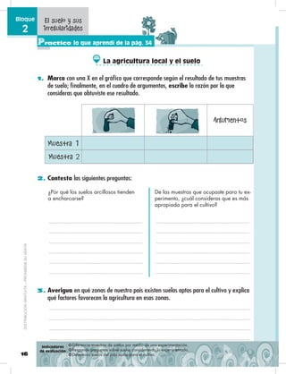 16
Bloque
2
Practico lo que aprendí de la pág. 34
❂ Diferencia muestras de suelos por medio de una experimentación.
❂ Responde preguntas sobre suelos considerando lo experimentado.
❂ Determina suelos del país aptos para el cultivo.
El suelo y sus
irregularidades
1. Marca con una X en el gráfico que corresponde según el resultado de tus muestras
de suelo; finalmente, en el cuadro de argumentos, escribe la razón por la que
consideras que obtuviste ese resultado.
2. Contesta las siguientes preguntas:
3. Averigua en qué zonas de nuestro país existen suelos aptos para el cultivo y explica
qué factores favorecen la agricultura en esas zonas.
Muestra 1
Argumentos
Muestra 2
¿Por qué los suelos arcillosos tienden
a encharcarse?
De las muestras que ocupaste para tu ex-
perimento, ¿cuál consideras que es más
apropiada para el cultivo?
Indicadores
de evaluación
La agricultura local y el suelo
DISTRIBUCIÓNGRATUITA–PROHIBIDASUVENTA
 