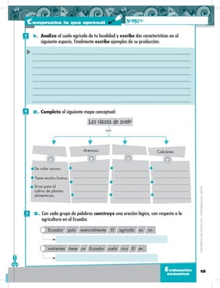 19Evaluación
sumativa
1. Analiza el suelo agrícola de tu localidad y escribe dos características en el
siguiente espacio, finalmente escribe ejemplos de su producción.
2. Completa el siguiente mapa conceptual:
CalcáreoArenoso
son:
De color oscuro.
Tiene mucho humus.
Sirve para el
cultivo de plantas
alimenticias.
Las clases de suelo
3. Con cada grupo de palabras construye una oración lógica, con respecto a la
agricultura en el Ecuador.
Ecuador país esencialmente El agrícola es un
nutrientes tiene un Ecuador suelo rico El en
Nombre:
DISTRIBUCIÓNGRATUITA–PROHIBIDASUVENTA
Compruebo lo que aprendí
2
Puntos
8
Puntos
2
Puntos
 