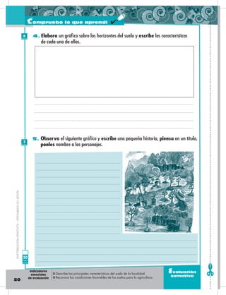 20
Evaluación
sumativa
4. Elabora un gráfico sobre los horizontes del suelo y escribe las características
de cada uno de ellos.
5. Observa el siguiente gráfico y escribe una pequeña historia, piensa en un título,
ponles nombre a los personajes.
DISTRIBUCIÓNGRATUITA–PROHIBIDASUVENTA
Compruebo lo que aprendí
6
Puntos
2
Puntos
20
Total
puntos
❂ Describe las principales características del suelo de la localidad.
❂ Reconoce las condiciones favorables de los suelos para la agricultura.
Indicadores
esenciales
de evaluación
 