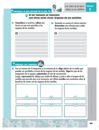 53
Bloque
5
1. Considera tu entorno y ubica una
forma en que este perjudica a los
órganos de los sentidos.
2. Tomando en cuenta el criterio anterior,
determina una solución para cuidar
tus órganos de los sentidos.
Practico lo que aprendí de la pág. 83
Los ciclos en la natu-
raleza y sus cambios
El ser humano se relaciona
con otros seres vivos: órganos de los sentidos
DISTRIBUCIÓNGRATUITA–PROHIBIDASUVENTA
Trabajo en equipo
3. Con un mínimo de 3 integrantes y un máximo de 6, elige objetos de tu medio que
puedan ser percibidos a través de los órganos de los sentidos. Tapa los ojos de los
integrantes de tu equipo y plantéales el reto de reconocerlos.
Luego, representa los objetos por medio de dibujos y junto a ellos el órgano de los
sentidos que permite que se lo reconozca, por último escribe una conclusión sobre el
beneficio de contar con los órganos de los sentidos.
 