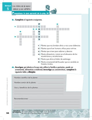 56
Bloque
5
Practico lo que aprendí de la pág. 90
3. Completa el siguiente crucigrama.
4. Averigua qué planta es la que más utiliza tu familia o parientes, puede ser
ornamental, alimenticia o medicinal; investiga sus características, completa la
siguiente tabla y dibújala:
❂ Reconoce planas considerando características planteadas.
❂ Completa ideogramas relacionados con la alimentación.
❂ Sugiere el uso de plantas según su localidad.
Los ciclos en la natu-
raleza y sus cambios
Plantas que nos brindan alivio o nos curan dolencias.
Plantas que el ser humano utiliza para nutrirse.
Plantas que sirven para adornar y decorar.
Planta alimenticia, común en el almuerzo de los
ecuatorianos y ecuatorianas.
Planta que alivia el dolor de estómago.
Planta ornamental del Ecuador que es vendida en
Estados Unidos.
1
2
3
4
5
6
Usos y beneficios de la plantas:
Nombre científico de la planta:
Nombre común de la planta:
Recomendaciones:
Indicadores
de evaluación
S
A
T
N
A
L
P
1
2
3
4
5
6
DISTRIBUCIÓNGRATUITA–PROHIBIDASUVENTA
 