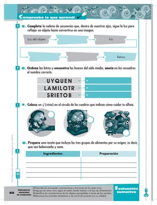 60
Evaluación
sumativa
5. Completa la cadena de secuencias que, dentro de nuestros ojos, sigue la luz para
reflejar un objeto hasta convertirse en una imagen.
Luz del objeto Iris
Retina
6. Ordena las letras y encuentra los huesos del oído medio, anota en los recuadros
el nombre correcto.
UYQUEN
LAMILOTR
SRIETOB
7. Coloca un √ (visto) en el círculo de los cuadros que indican cómo cuidar tu olfato.
8. Prepara una receta que incluya los tres grupos de alimentos por su origen; es decir,
que sea balanceada y sana.
Ingredientes Preparación
DISTRIBUCIÓNGRATUITA–PROHIBIDASUVENTA
2
Puntos
2
Puntos
1
Puntos
3
Puntos
Compruebo lo que aprendí
20
Total
puntos
❂ Describe las principales características y funciones de los seres vivos.
❂ Agrupa los seres vivos según el medio donde habitan y el tipo de alimentación.
❂ Identifica las características de los objetos perceptibles a través de los sentidos.
❂ Reconoce los animales domésticos y de corral de acuerdo con su utilidad.
Indicadores
esenciales
de evaluación
 
