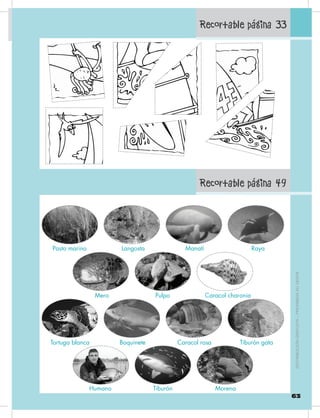 1.v
Recortable página 49
Recortable página 33
63
DISTRIBUCIÓNGRATUITA–PROHIBIDASUVENTA
Pasto marino Langosta Manatí Raya
Mero Pulpo Caracol charonia
Tortuga blanca Boquinete Caracol rosa Tiburón gata
Humano Tiburón Morena
 
