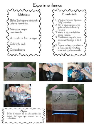 Experimentemos
Materiales
Bolsa Ziploc para sándwich
, cierre hermético.
Marcador negro
permanente.
Un cuarto de tasa de agua.
Colorante azul.
Cinta adhesiva.
Procedimiento
1. Dibujo en la bolsa Ziploc un
Sol y una nube.
2. En el agua agregue unas
gotas de colorante azul y
revuelva.
3. Vierta el agua en la bolsa
Ziploc y cierre.
4. Con la cinta pegue la bolsa
en una ventana que le de el
sol.
5. Espere un tiempo prudencias
al menos de 20 minutos y
observe lo que ha ocurrido.
Objetivo
Inferir la relación del sol y los cambios de
estado del agua que ocurren en la
naturaleza
 