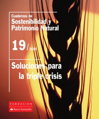Cuadernos de
Sostenibilidad y
Patrimonio Natural

19 /      2010




Soluciones para
  la triple crisis
 