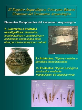 El Registro Arqueológico. Conceptos BásicosEl Registro Arqueológico. Conceptos Básicos
Elementos del Yacimiento ArqueológicoElementos del Yacimiento Arqueológico
Elementos Componentes del Yacimiento ArqueológicoElementos Componentes del Yacimiento Arqueológico
1.- Contextos o unidades
estratigráficas: elementos
arquitectónicos y constructivos y
sedimentos acumulados entre
ellos por causa antrópica o natural
2.- Artefactos: Objetos muebles o
portables manufacturados
3.- Ecofactos: Objetos ecológicos
producidos mediante
manipulación de especies vivas
 