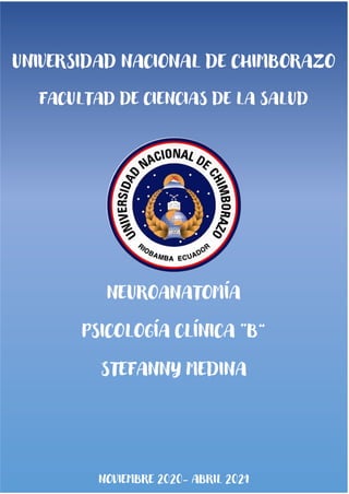 UNIVERSIDAD NACIONAL DE CHIMBORAZO
FACULTAD DE CIENCIAS DE LA SALUD
NEUROANATOMÍA
PSICOLOGÍA CLÍNICA “B”
STEFANNY MEDINA
NOVIEMBRE 2020- ABRIL 2021
 