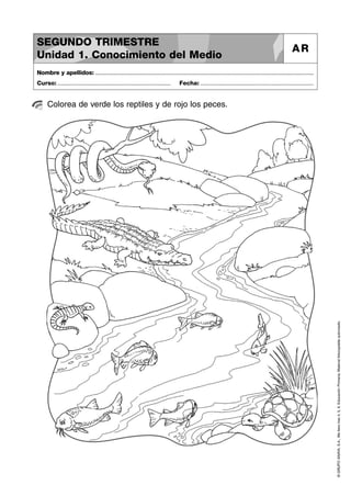 Cuaderno 2 trimestre | PDF