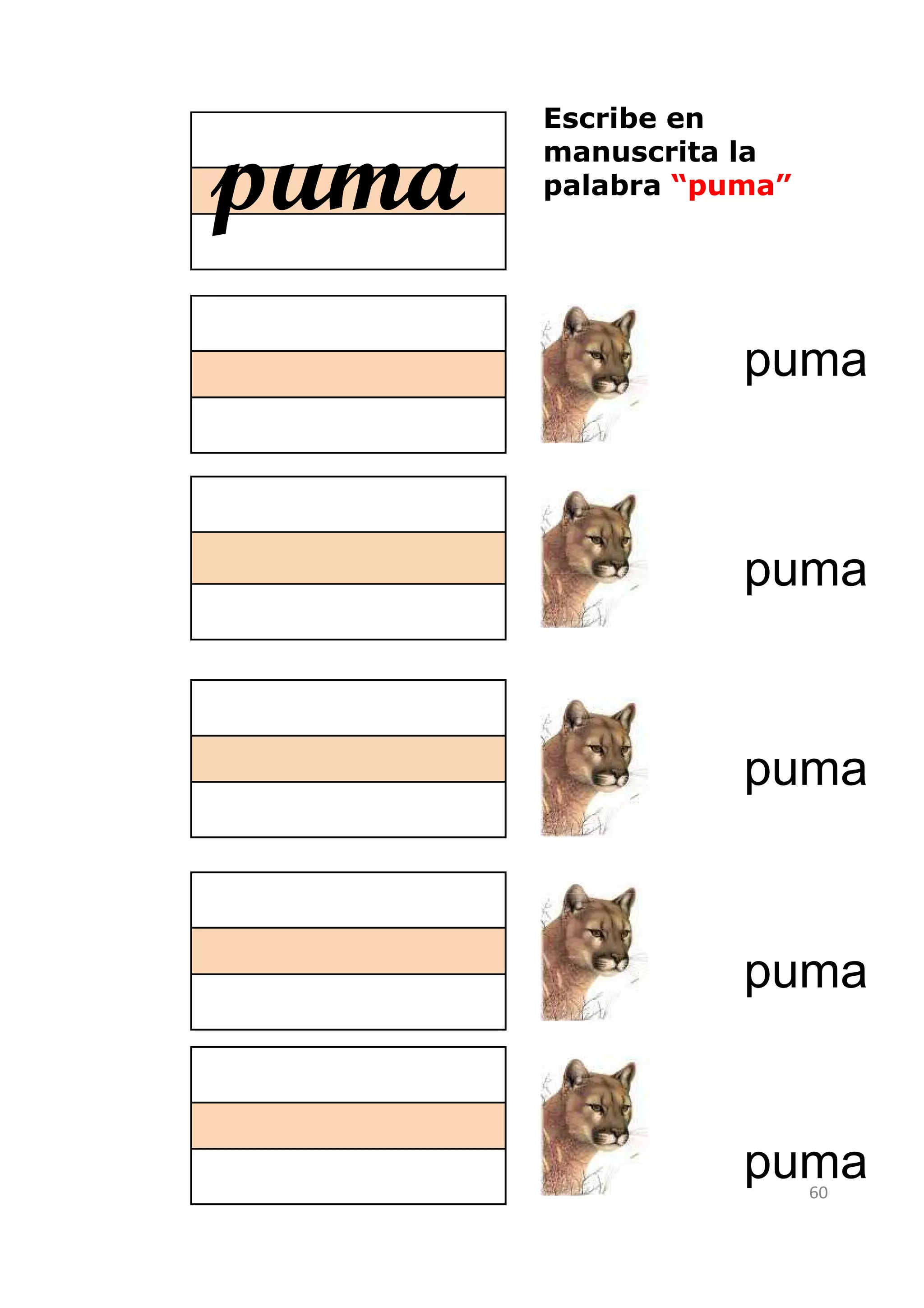 Escribe en

puma   manuscrita la
       palabra “puma”




                  puma



                  puma



                  puma



                  puma


                  puma  60
 