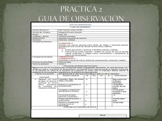 PRACTICA 2GUIA DE OBSERVACION