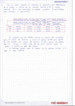 FIC-UNASAM
FIC-UNASAM
MALPASO NIÑO R.
 