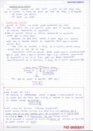 FIC-UNASAM
FIC-UNASAM
MALPASO NIÑO R.
 