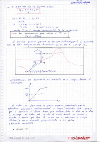 FIC-UNASAM
FIC-UNASAM
MALPASO NIÑO R.
 