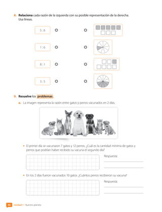 46 Unidad 1 • Nuestro planeta
8.	 Relaciona cada razón de la izquierda con su posible representación de la derecha.
Usa líneas.
1 : 6
3 : 5
5 : 6
8 : 1
9.	 Resuelve los problemas .
a.	 La imagen representa la razón entre gatos y perros vacunados en 2 días.
•	 El primer día se vacunaron 7 gatos y 12 perros. ¿Cuál es la cantidad mínima de gatos y
perros que podrían haber recibido su vacuna el segundo día?
Respuesta:
	
•	 En los 2 días fueron vacunados 10 gatos. ¿Cuántos perros recibieron su vacuna?
Respuesta:
	
CL0000000001374 MATE_6B_CA_U1B_7104.indd 46 11-12-20 16:06
 