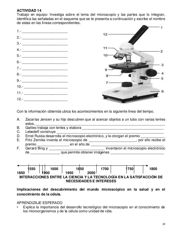 Cuaderno de actividades para el fortalecimiento de los