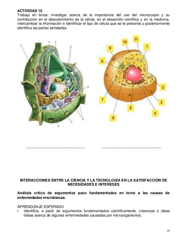 Cuaderno de actividades para el fortalecimiento de los