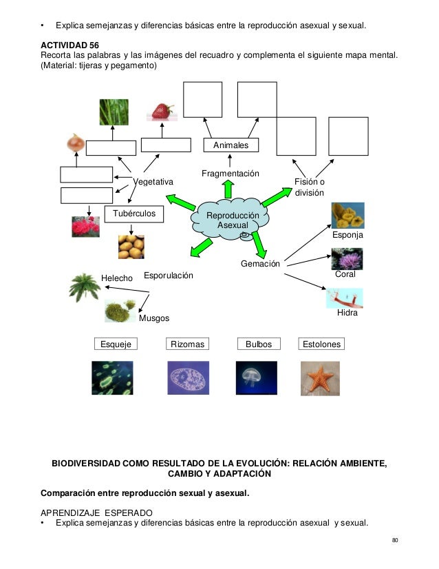 Cuaderno de actividades para el fortalecimiento de los aprendizajes C…