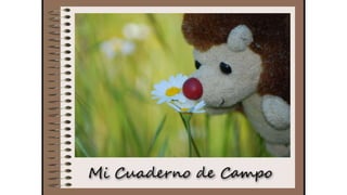 Cuaderno de campo de la Tribu de los Bosquienanos