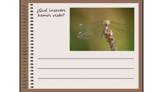 Cuaderno de campo de la Tribu de los Bosquienanos