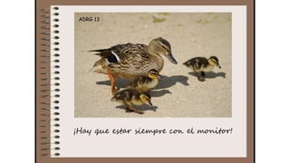 Cuaderno de campo de la Tribu de los Bosquienanos