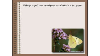 Cuaderno de campo de la Tribu de los Bosquienanos