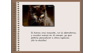 Cuaderno de campo de la Tribu de los Bosquienanos