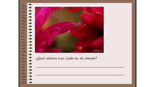 Cuaderno de campo de la Tribu de los Bosquienanos