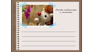 Cuaderno de campo de la Tribu de los Bosquienanos