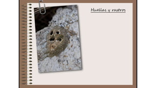 Cuaderno de campo de la Tribu de los Bosquienanos