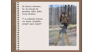 Cuaderno de campo de la Tribu de los Bosquienanos