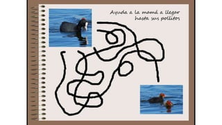 Cuaderno de campo de la Tribu de los Bosquienanos