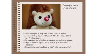 Cuaderno de campo de la Tribu de los Bosquienanos