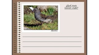 Cuaderno de campo de la Tribu de los Bosquienanos