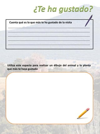 ¿Te ha gustado?
Cuenta qué es lo que más te ha gustado de la visita
Utiliza este espacio para realizar un dibujo del animal y la planta
que más te haya gustado
 