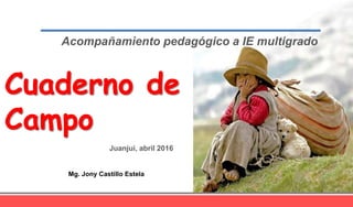 Acompañamiento pedagógico a IE multigrado
Cuaderno de
Campo
Mg. Jony Castillo Estela
Juanjui, abril 2016
 