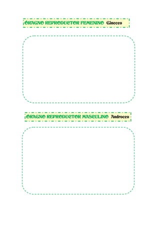 ÓRAGNO REPRODUCTOR FEMENINO Gineceo
ÓRAGNO REPRODUCTOR MASCULINO Androceo
 