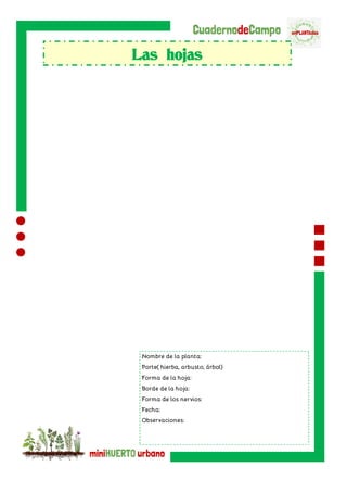 Las hojas
 