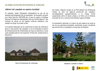 UN ANIMAL EN PELIGRO DE EXTINCIÓN: EL CAMALEÓN


Hábitat del camaleón en nuestra localidad                           Así mismo, Chipiona recoge en su Plan General de Ordenación
                                                                    Urbana un área de especial protección del camaleón,
El camaleón común (Chamaeleo Chamaeleon) es uno de los              correspondiendo     geográficamente   a    la  franja    litoral
animales más singulares del sur peninsular. Se encuentra incluido   comprendida entre el núcleo urbano y el límite con el término
en el Real Decreto 439/1990 por el que se regula el Catálogo        municipal de rota, conocida como Reamar Laguna de Regla.
Nacional de Especies Amenazadas como de interés especial. Sus
enclaves se ubican en los lugares costeros andaluces, casi
siempre sin dejar de divisar el mar.                                Un monumento dedicado a la figura de esta especie se erige en
                                                                    una de sus glorietas principales, mostrando la gran vinculación
La localidad Chipionera se ha convertido en punto de referencia     que existe entre el camaleón y el municipio de Chipiona.
para el conocimiento del camaleón, y en la actualidad el Centro
de Interpretación de la Naturaleza es todo un referente y tiene
como grandes pilares tres objetivos: Protección, Conservación y
Educación.




               Centro de Interpretación de la Naturaleza                              Monumento al Camaleón en Chipiona
 