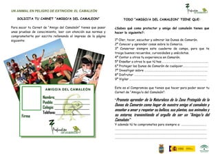 UN ANIMAL EN PELIGRO DE EXTINCIÓN: EL CAMALEÓN

   SOLICITA TU CARNET “AMIGO/A DEL CAMALEON”                          TODO “AMIGO/A DEL CAMALEON” TIENE QUE:

Para sacar tu Carnet de “Amigo del Camaleón” tienes que pasar   ¿Sabes qué como protector y amigo del camaleón tienes que
unas pruebas de conocimiento, leer con atención sus normas y    hacer lo siguiente?:
comprometerte por escrito rellenando el impreso de la página
siguiente:                                                      1º Oler, tocar, escuchar y admirar las Dunas de Camarón.
                                                                2º Conocer y aprender cosas sobre la Comarca.
                                                                3º Conservar siempre este cuaderno de campo, para que te
                                                                traiga buenos recuerdos, curiosidades y anécdotas.
                                                                4º Contar a otros tu experiencia en Camarón.
                                                                5º Enseñar a otros lo que tú has ………………………………………………………..
                                                                6º Proteger las Dunas de Camarón de cualquier………………………………
                                                                7º Investigar sobre ……………………………………………………………………………..
                                                                8º Disfrutar ………………………………………………………………………………………….
                                                                9º Vigilar ……………………………………………………………………………………………….

                                                                Este es el Compromiso que tienes que hacer para poder sacar tu
                      AMIGO/A DEL CAMALEÓN
                                                                Carnet de “Amigo/a del Camaleón”:
                    Nombre;_______________________
                                                                “Prometo  aprender de la Naturaleza de la Zona Protegida de la
                    Pueblo: ________________________
                                                                Dunas de Camarón como hogar de nuestro amigo el camaleón y
                    Colegio: _______________________
                                                                enseñar a amar y respetar su belleza, sus plantas, sus animales y
                    Teléfono:_______________________
      Firma:                                                    su entorno, transmitiendo el orgullo de ser un “Amigo/a del
                                                                Camaleón”
                                                                Y además tú te comprometes para siempre a: ………………………………
                                                                ………………………………………………………………………………………………………………….
                                                                ………………………………………………………………………………………………………………….
                                                                ………………………………………………………………………………………………………………….
 