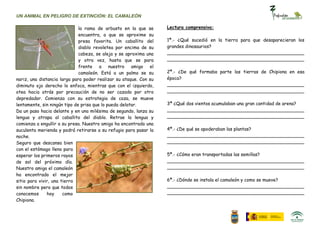 UN ANIMAL EN PELIGRO DE EXTINCIÓN: EL CAMALEÓN

                              la rama de arbusto en la que se      Lectura comprensiva:
                              encuentra, a que se aproxime su
                              presa favorita. Un caballito del     1ª.- ¿Qué sucedió en la tierra para que desaparecieran los
                              diablo revoletea por encima de su    grandes dinosaurios?
                              cabeza, se aleja y se aproxima una   ________________________________________________
                              y otra vez, hasta que se para        ________________________________________________
                              frente a nuestro amigo el
                              camaleón. Está a un palmo se su      2ª.- ¿De qué formaba parte las tierras de Chipiona en esa
nariz, una distancia larga para poder realizar su ataque. Con su   época?
diminuto ojo derecho lo enfoca, mientras que con el izquierdo,     ________________________________________________
otea hacia atrás por precaución de no ser cazado por otro          ________________________________________________
depredador. Comienza con su estrategia de caza, se mueve
lentamente, sin ningún tipo de prisa que lo pueda delatar.         3ª ¿Qué dos vientos acumulaban una gran cantidad de arena?
Da un paso hacia delante y en una milésima de segundo, lanza su    ________________________________________________
lengua y atrapa al caballito del diablo. Retrae la lengua y        ________________________________________________
comienza a engullir a su presa. Nuestro amigo ha encontrado una
suculenta merienda y podrá retirarse a su refugio para pasar la    4ª.- ¿De qué se apoderaban las plantas?
noche.                                                             ________________________________________________
Seguro que descansa bien                                           ________________________________________________
con el estómago lleno para
esperar los primeros rayos                                         5ª.- ¿Cómo eran transportadas las semillas?
de sol del próximo día.                                            ________________________________________________
Nuestro amigo el camaleón                                          ________________________________________________
ha encontrado el mejor
sitio para vivir, una tierra                                       6ª.- ¿Dónde se instala el camaleón y como se mueve?
sin nombre pero que todos                                          ________________________________________________
conocemos      hoy     como                                        ________________________________________________
Chipiona.
 