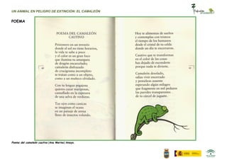 UN ANIMAL EN PELIGRO DE EXTINCIÓN: EL CAMALEÓN


POEMA




Poema del camaleón cautivo (Ana Merino) Anaya.
 