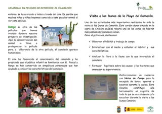 UN ANIMAL EN PELIGRO DE EXTINCIÓN: EL CAMALEÓN

entorno, se ha acercado a todos a través del cine. Es posible que
muchos niños y niñas hayamos conocido a este peculiar animal al
                                                                         Visita a las Dunas de la Playa de Camarón.
ver esta película.
                                                                     Una de las actividades más importantes realizadas ha sido la
                                                                     visita al las Dunas de Camarón, Este cordón dunar situado en la
Rango es otra de las
                                                                     costa de Chipiona (Cádiz) resulta una de las zonas de hábitat
películas    que     hemos
                                                                     más poblada del camaleón común.
tratado durante nuestro
                                                                     Como objetivo nos planteamos:
proyecto de investigación.
Aquí la personificación del
                                                                         Observar el hábitat y trabajo de campo.
animal    lo     lleva    a
protagonizar la película                                                 Interactuar con el medio y estudiar el hábitat y      sus
pero, a diferencia de la otra película, el camaleón aparece
                                                                           características.
humanizado.
                                                                         Analizar la flora y la fauna con la que interactúa el
El cine ha favorecido el conocimiento del camaleón y ha                    camaleón.
propiciado que el público infantil se familiarice con él. Pascal y
Rango se han convertido en simpáticos personajes que han                 Formular     hipótesis sobre las causas y los factores que
ayudado a conocer las características del camaleón.                        amenazan su supervivencia.

                                                                                                    Confeccionamos un cuaderno
                                                                                                    con Notas de Campo para la
                                                                                                    recogida de datos, apuntes y
                                                                                                    bocetos durante la salida. Este
                                                                                                    recurso      constituye      una
                                                                                                    herramienta, un registro de
                                                                                                    todo lo que se va a observar y/o
                                                                                                    escuchar durante la visita a las
                                                                                                    Dunas Camarón.
 